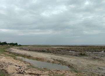 india/gujarat/attraction/nalsarovar-lake-view-point