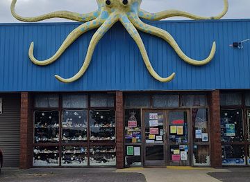 australia/gippsland/attraction/the-griffiths-sea-shell-museum-and-marine-display