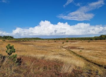 denmark/central-jutland/attraction/naturcenter-harrild-heath