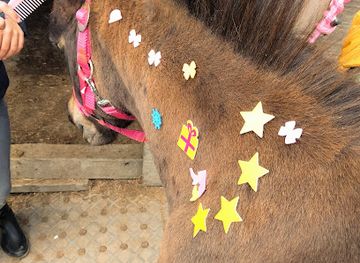 netherlands/leiden/attraction/stal-magic