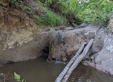 latvia/pape-nature-reserve/attraction/dukupju-udenskritums