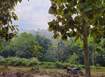 india/kaziranga-national-park/attraction/journey-for-learning