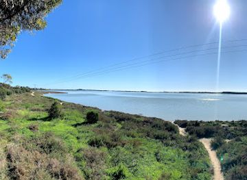 cyprus/larnaca/attraction/pattihio-forest-park