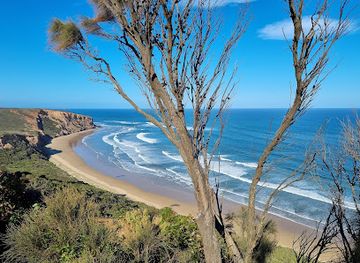 australia/great-ocean-road/attraction/point-addis-beach-lookout