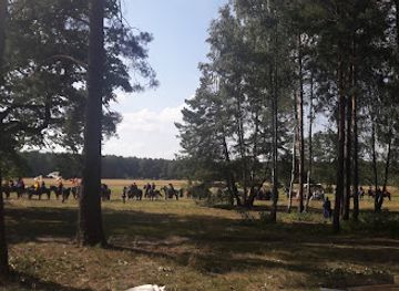 poland/zegrze-reservoir/attraction/dab-jan-kazimierz