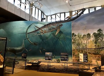 washington/seattle/attraction/burke-museum-of-natural-history-and-culture