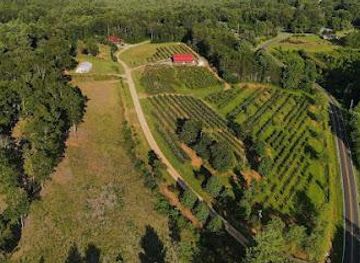 north-carolina/pisgah-national-forest/attraction/perry-s-berry-s-vineyard-and-winery
