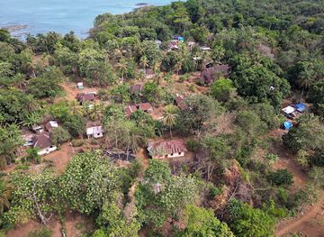 sierra-leone/tacugama-chimpanzee-sanctuary/attraction/banana-island