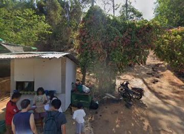 thailand/phuket/rawai/attraction/malaipink-elephant