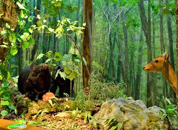 japan/kanto/attraction/nikko-natural-science-museum