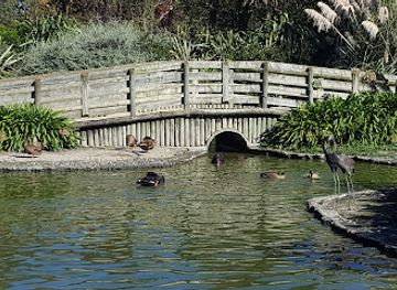 new-zealand/hawke-s-bay/attraction/hawkes-bay-farmyard-zoo