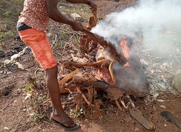 ghana/ahafo-region/attraction/tabre-park