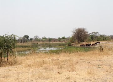 zambia/sioma-ngwezi-national-park/attraction/lizauli-traditional-village