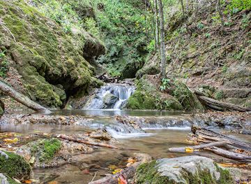 armenia/dilijan/attraction/taknvac-jrvezh