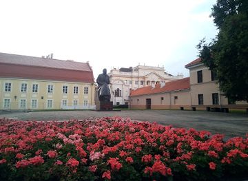 lithuania/kaunas/attraction/maironis-museum-of-lithuanian-literature