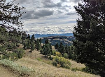 montana/gallatin-national-forest/attraction/sypes-canyon-trailhead