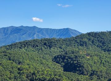 tennessee/great-smoky-mountains/attraction/hatfield-mccoy-dinner-feud