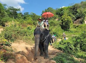 thailand/phuket/attraction/phuket-kathu-elephant-sanctuary