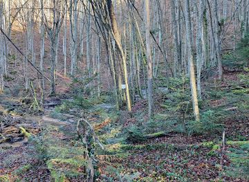 romania/caras-severin/attraction/izvoarele-carasului