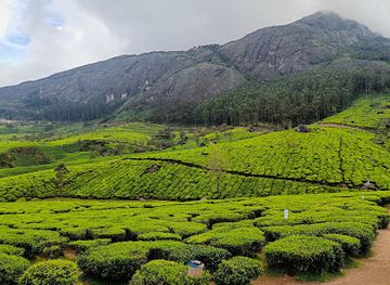 india/munnar/attraction/lockhart-gap-view