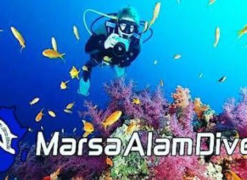 egypt/marsa-alam/attraction/marsa-alam-divers