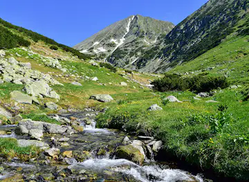 Valea Pelegii