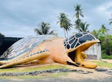 sri-lanka/bentota/attraction/ahungalla-sea-turtles-conservation-project