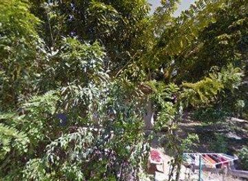 sri-lanka/unawatuna/attraction/pet-fish-aquarium-weligama