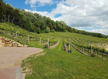 wisconsin/driftless-area/attraction/wollersheim-winery-distillery