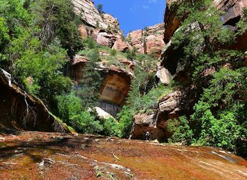 utah/zion-national-park/attraction/the-subway