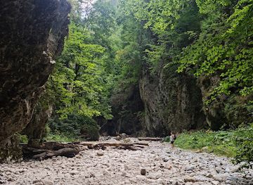 romania/mehedinti/attraction/cheile-oltetului
