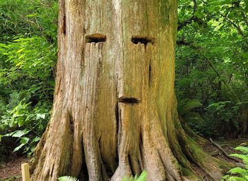 washington/the-skagit-valley/attraction/pomona-grange-park