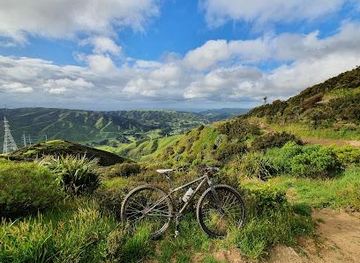 new-zealand/wellington/attraction/makara-peak-mountain-bike-park