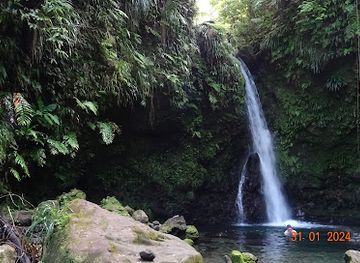 dominica/soufriere/attraction/dominica