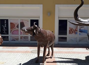 south-africa/cape-town/attraction/wineland-ballooning-cape-town