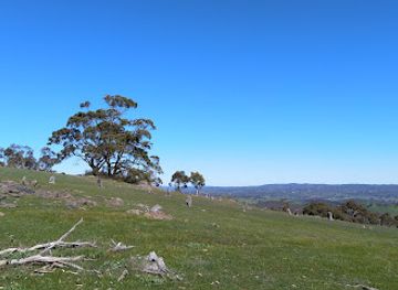 australia/barossa-valley/attraction/warren-conservation-park