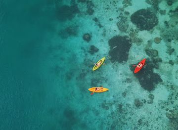 micronesia/koror/attraction/secret-lagoon