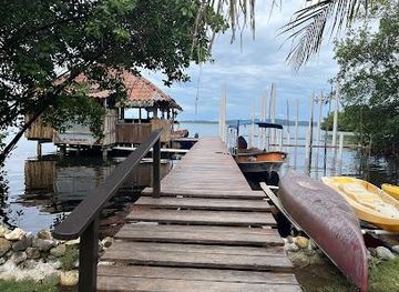 panama/bocas-del-toro/attraction/dolphin-bay-hideaway