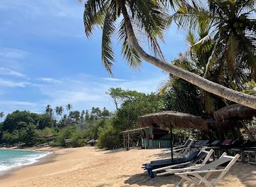 sri-lanka/southern-province/attraction/pallikkudawa-beach