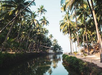 india/goa/attraction/cola-beach