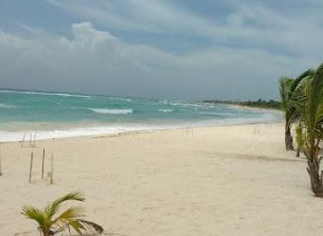 mexico/cozumel/attraction/aventuras-akumal