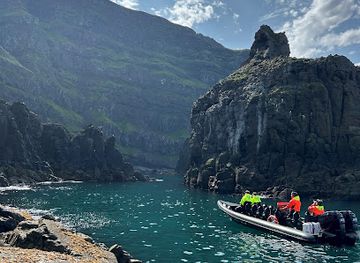 iceland/east-fjords/attraction/puffin-adventures