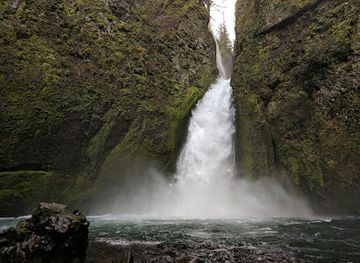 oregon/cascade-mountains/attraction/wahclella-falls-trail