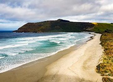 new-zealand/dunedin/attraction/allans-beach