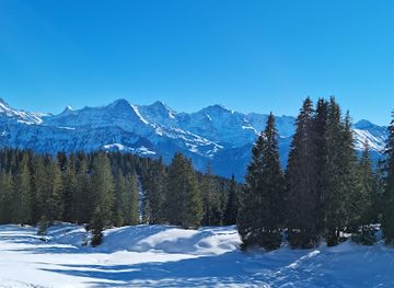 switzerland/bernese-oberland/attraction/alp-chuematte