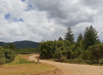 kenya/nyandarua-range/attraction/geta-forest-station