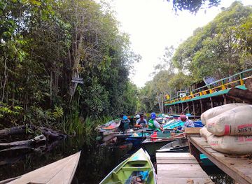 indonesia/north-kalimantan/attraction/sebangau-national-park