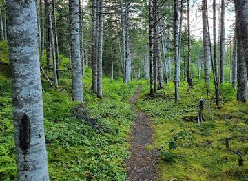 canada/avalon-peninsula/attraction/lockston-path-provincial-park