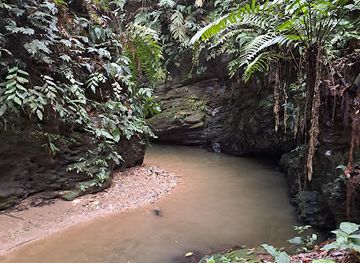 trinidad-and-tobago/asa-wright-nature-centre/attraction/three-sprouts-waterfall