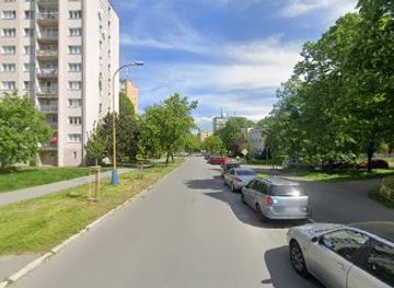 slovakia/kosice-region/attraction/phlegm-mural